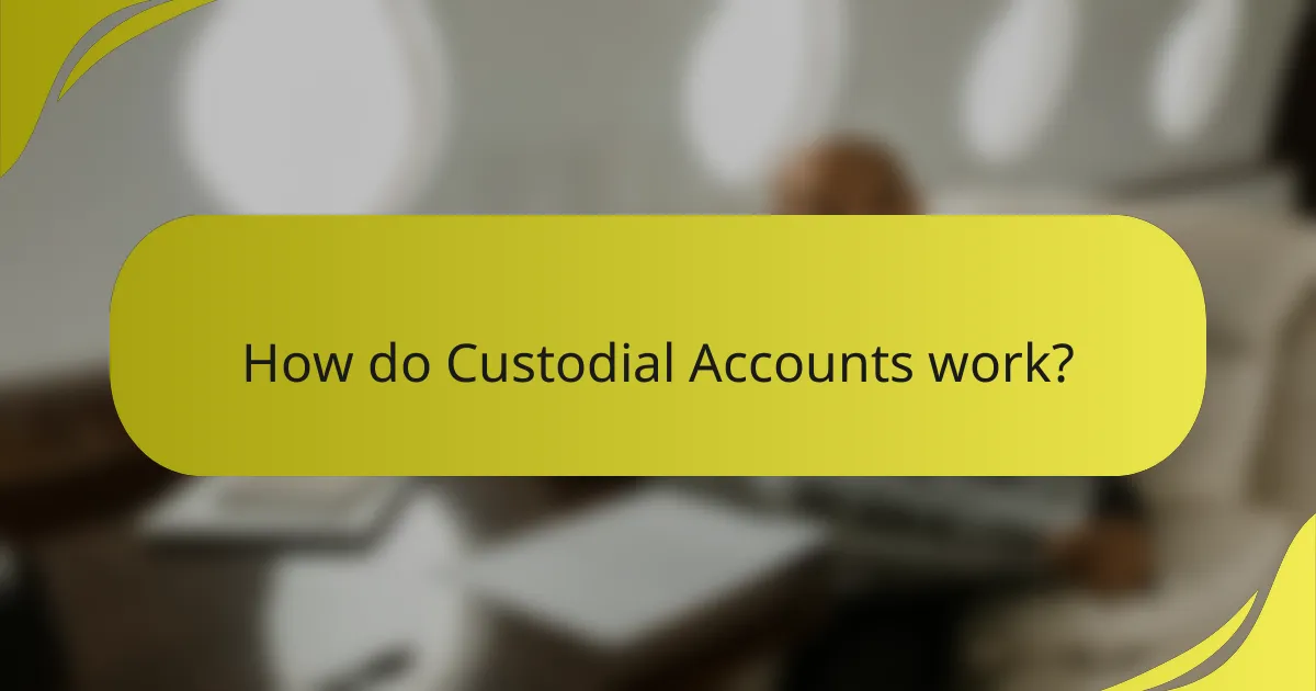 How do Custodial Accounts work?