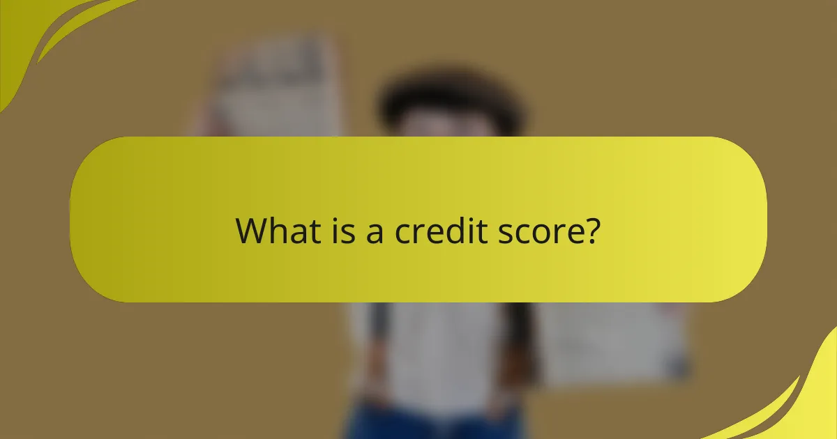 What is a credit score?
